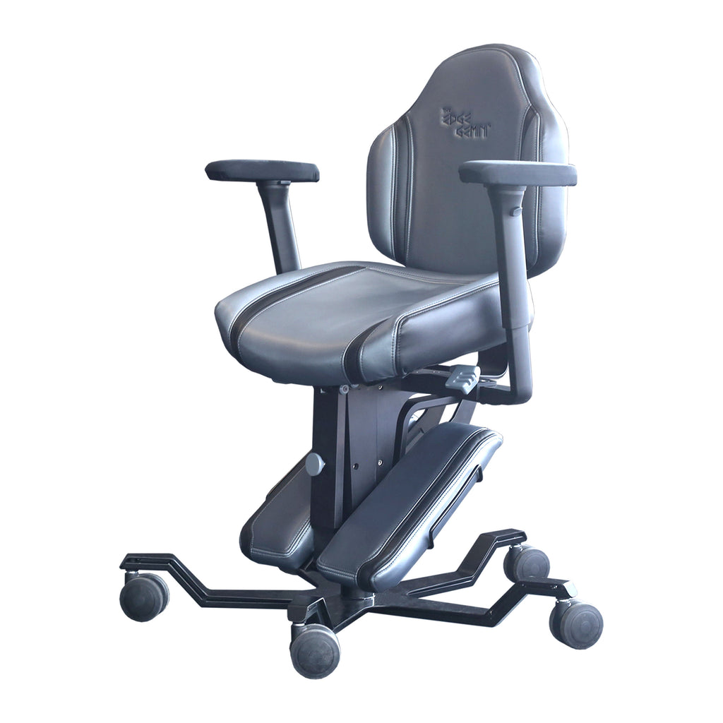 Gemini discount office chair